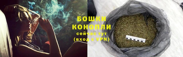 сатива Кукмор