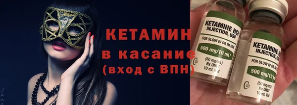 сатива Кукмор