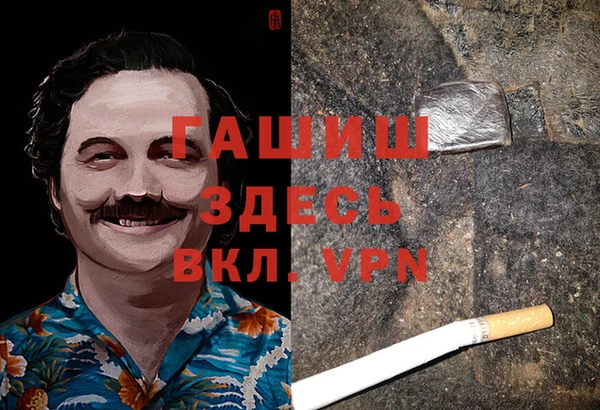 сатива Кукмор