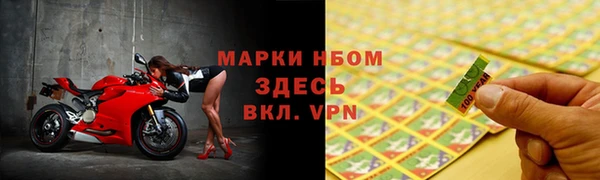 сатива Кукмор