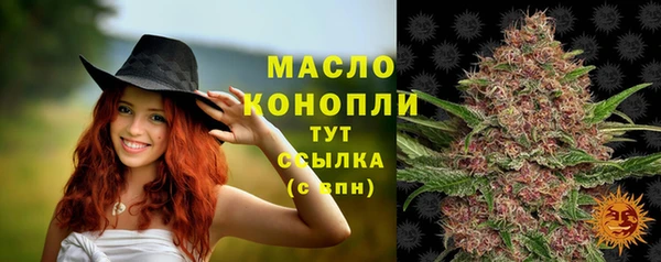 сатива Кукмор