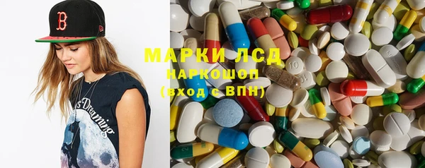 сатива Кукмор